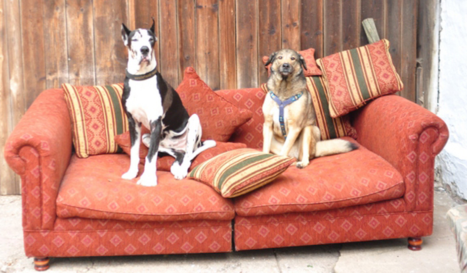 Behandlungscouch.jpg (945 x 552)